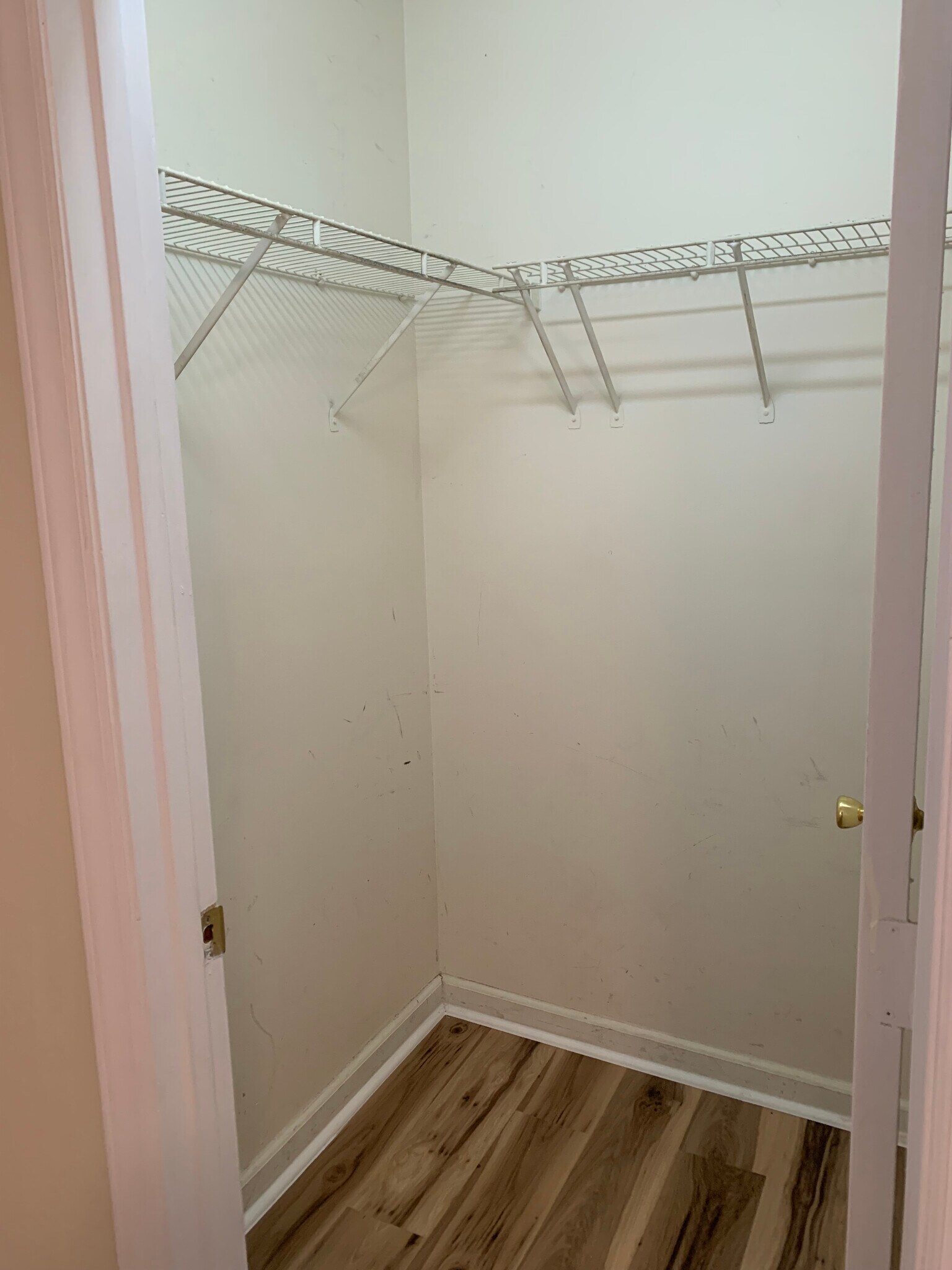 Building Photo - Room in Condo on Carlton Ave