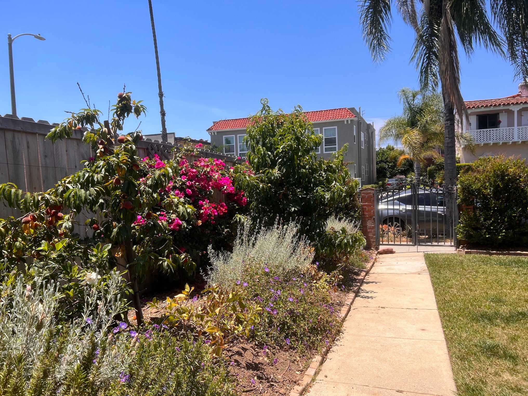 Beautiful garden - 1436 S Norton Ave