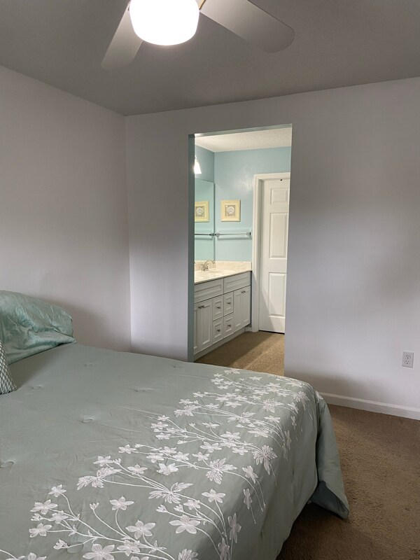 Building Photo - 1231 Ladys Island Dr