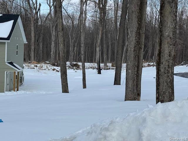 Building Photo - 11 Alexandra Matthews Rd