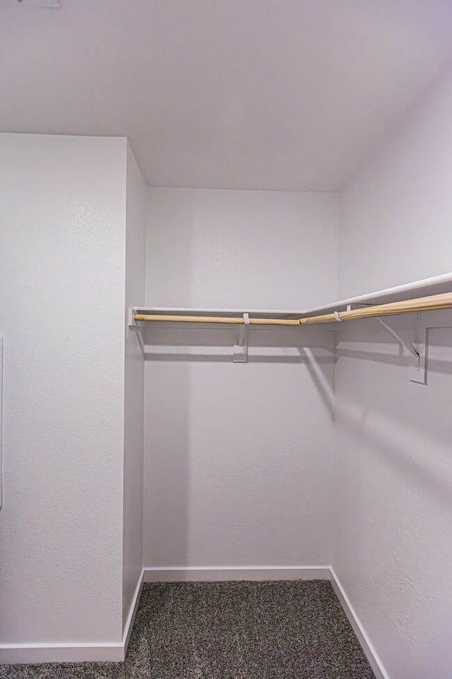 Building Photo - Brand New 4-bedroom Home