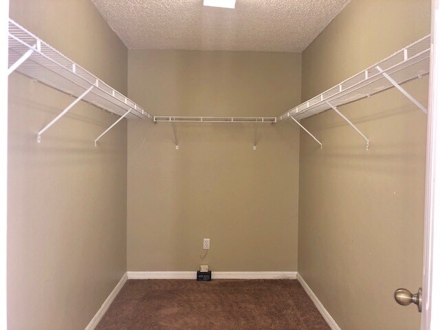 Building Photo - AVALON PARK!MOVE IN NOW! LARGE 5bd 2.5 bat...