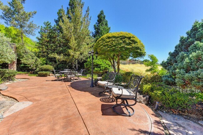 Building Photo - 3381 Black Oak Dr