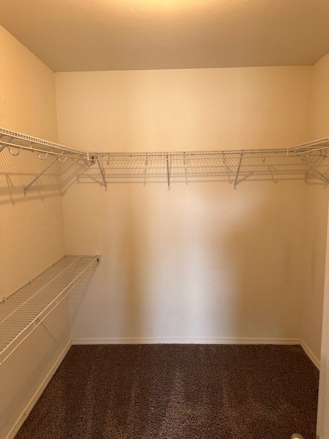 Building Photo - 14608 Marbleleaf Dr