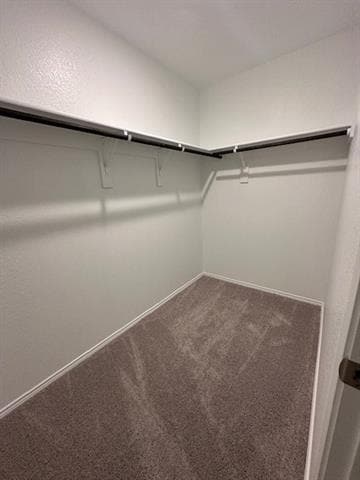 Building Photo - 6024 Pitcher Wy