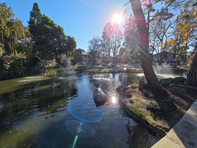 Building Photo - Charming 1 Bed, 1 Bath Lakewood Shores condo!