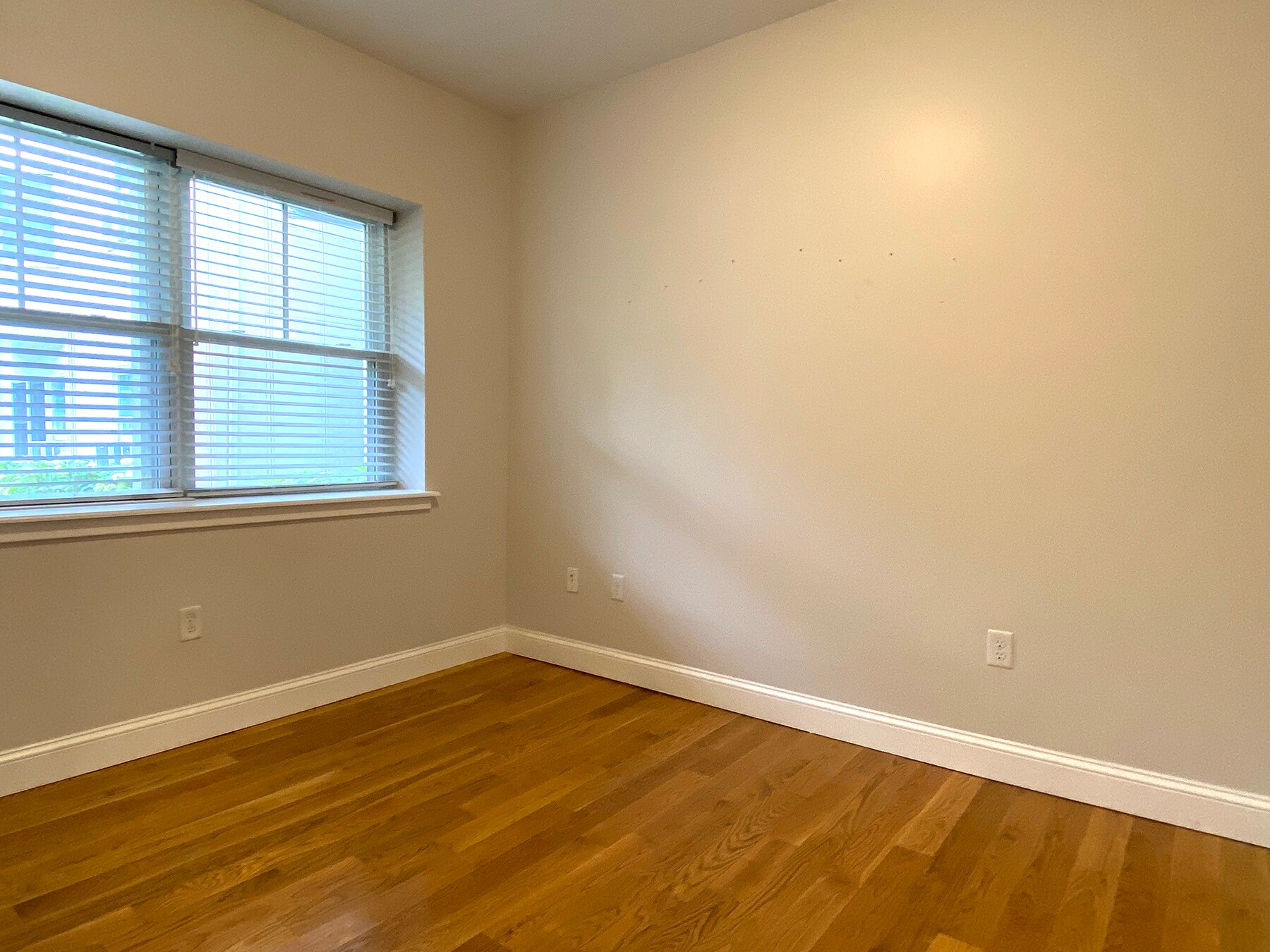 Building Photo - 58 Kent St