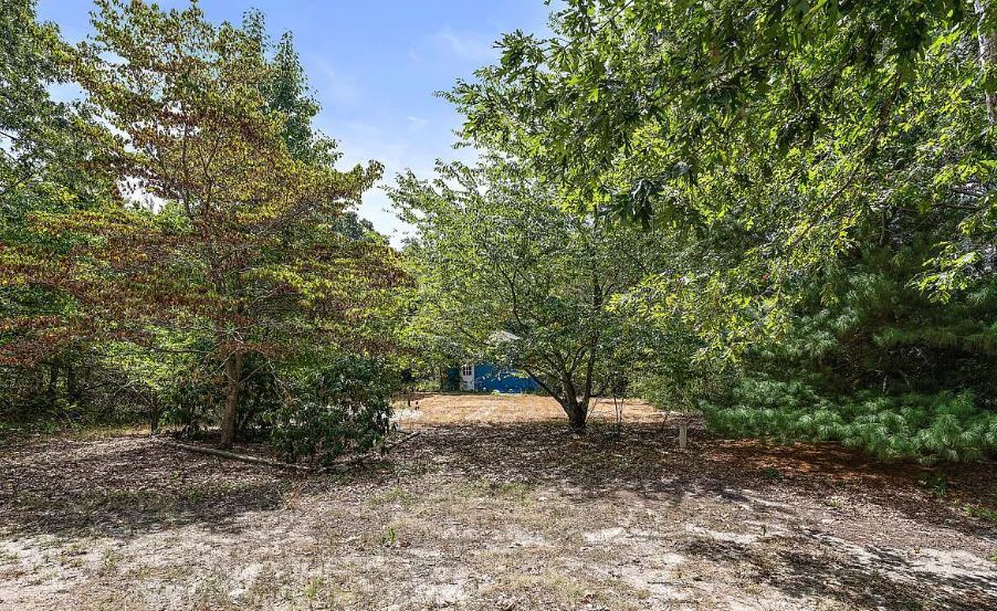 Backyard - 107 Bayberry Ave