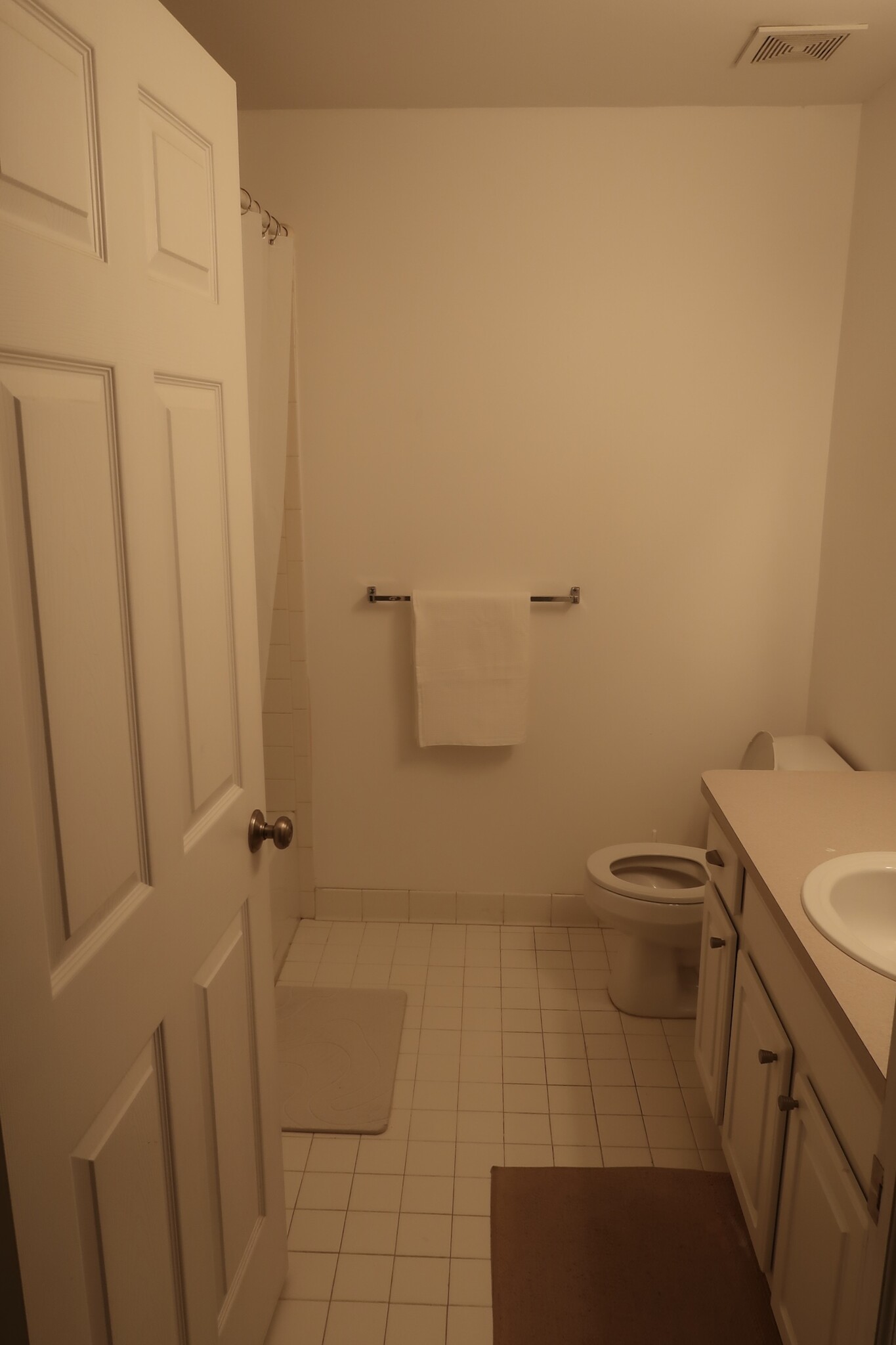 Guest/Hallway Bathroom - 16468 Radison Dr