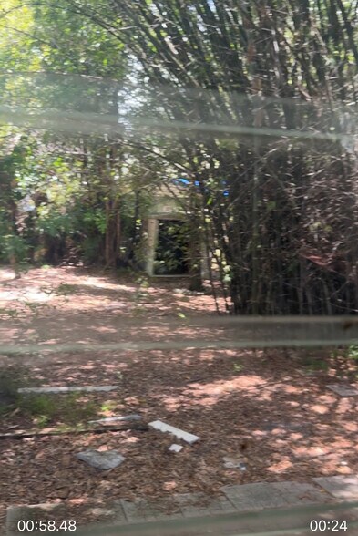 Backyard - 12110 NE 11th Pl