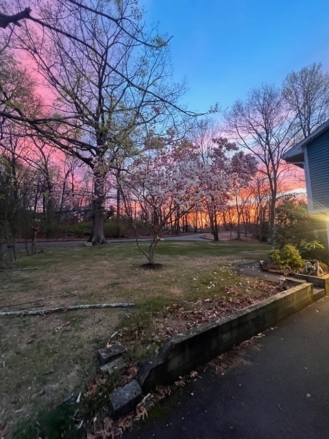 Building Photo - 77 Stannard Ave