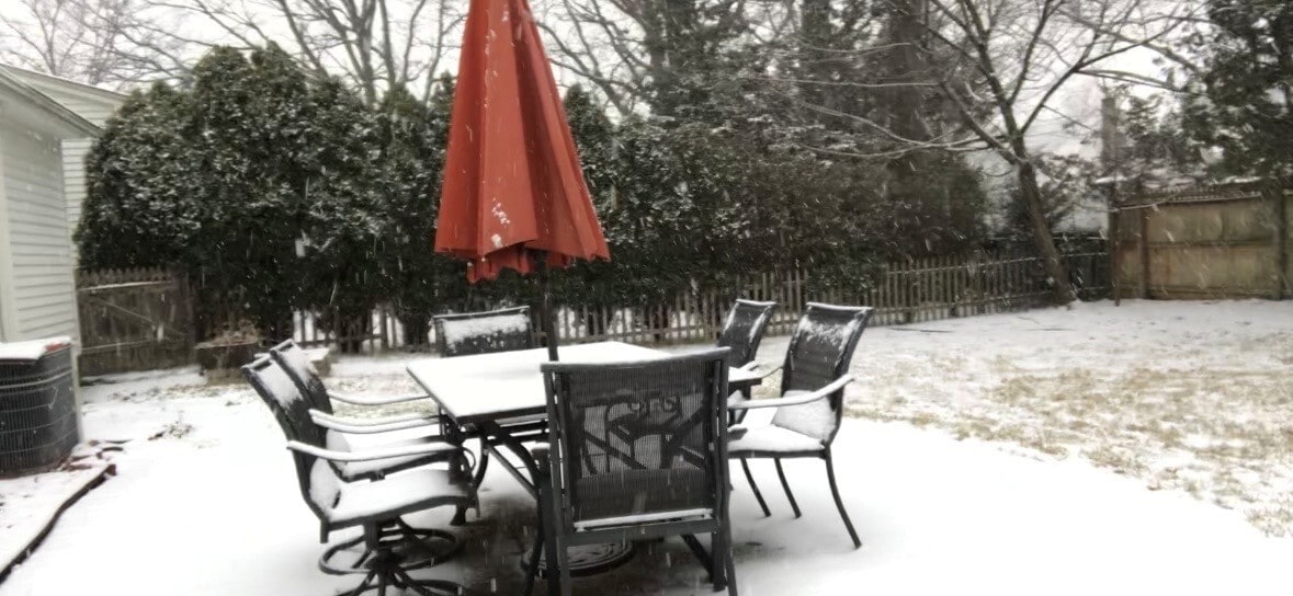 Backyard - 11 Raymond Pl