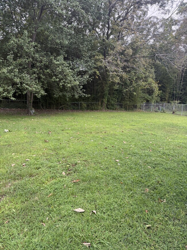 Building Photo - 825 Olive Dr