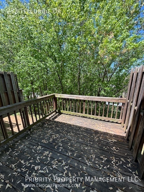Building Photo - 232 Telluride Drive