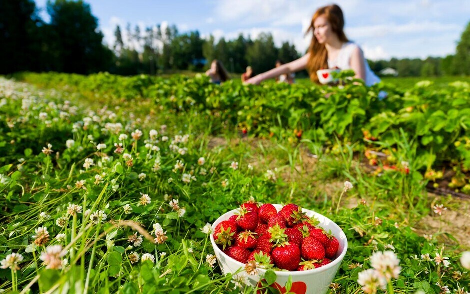 Building Photo - 1456 Tristar Dr