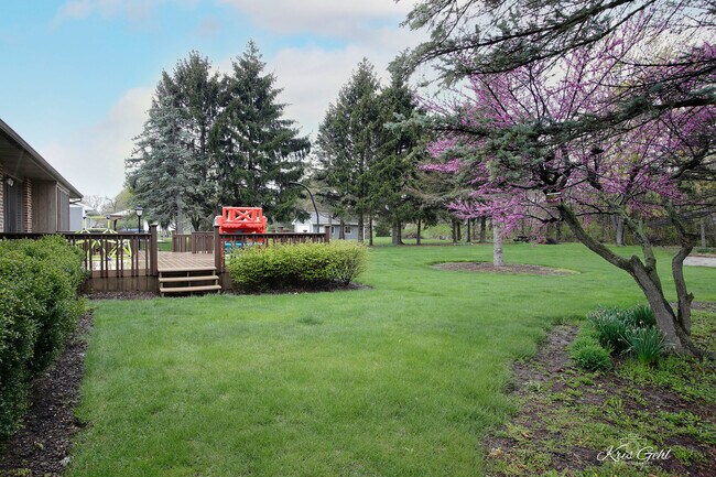 Building Photo - 14620 Country Ln Dr