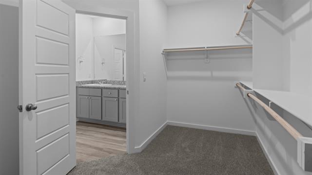 Building Photo - 8536 Big Apple Dr