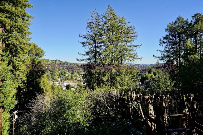 Building Photo - Quintessential Mill Valley Home Nestled in...