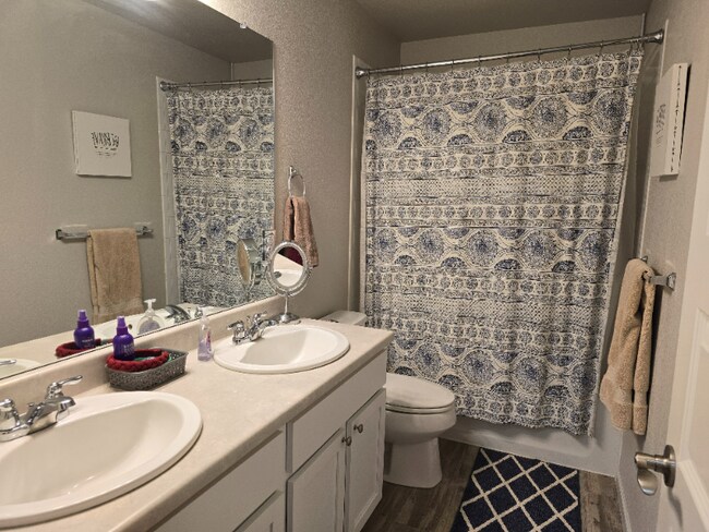 Building Photo - 310 Pavo Ct
