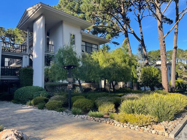 Building Photo - Forest Views With Peeks Of The Ocean From ...