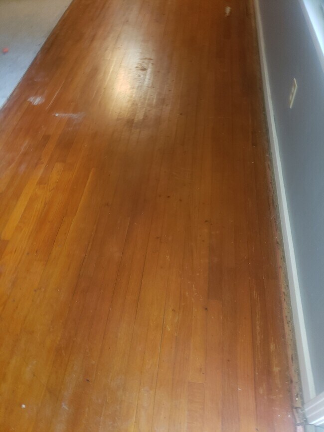 Building Photo - 3132 Charleston Dr