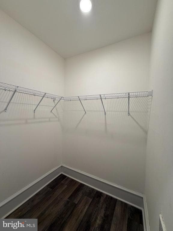 Building Photo - 1429 N Clayton St