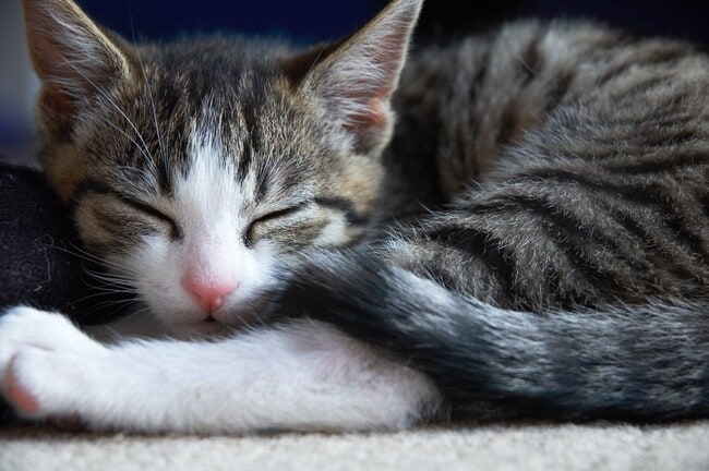 Building Photo - 2 Bedroom 1.5 Bath Duplex - South Fargo