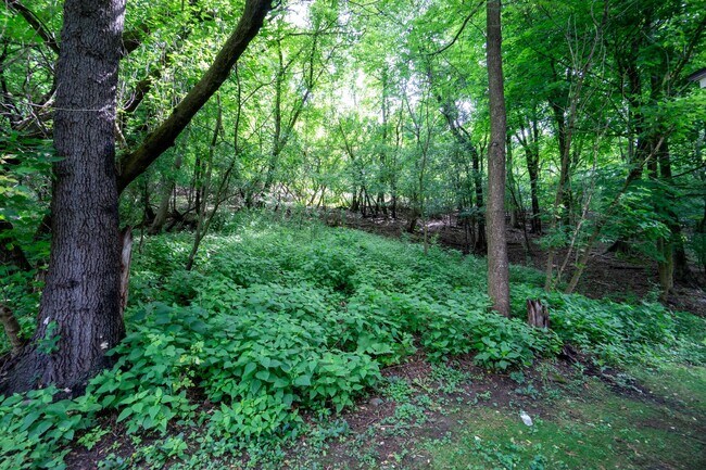 Building Photo - 3 Bedroom with New Kitchen, Bathroom and H...