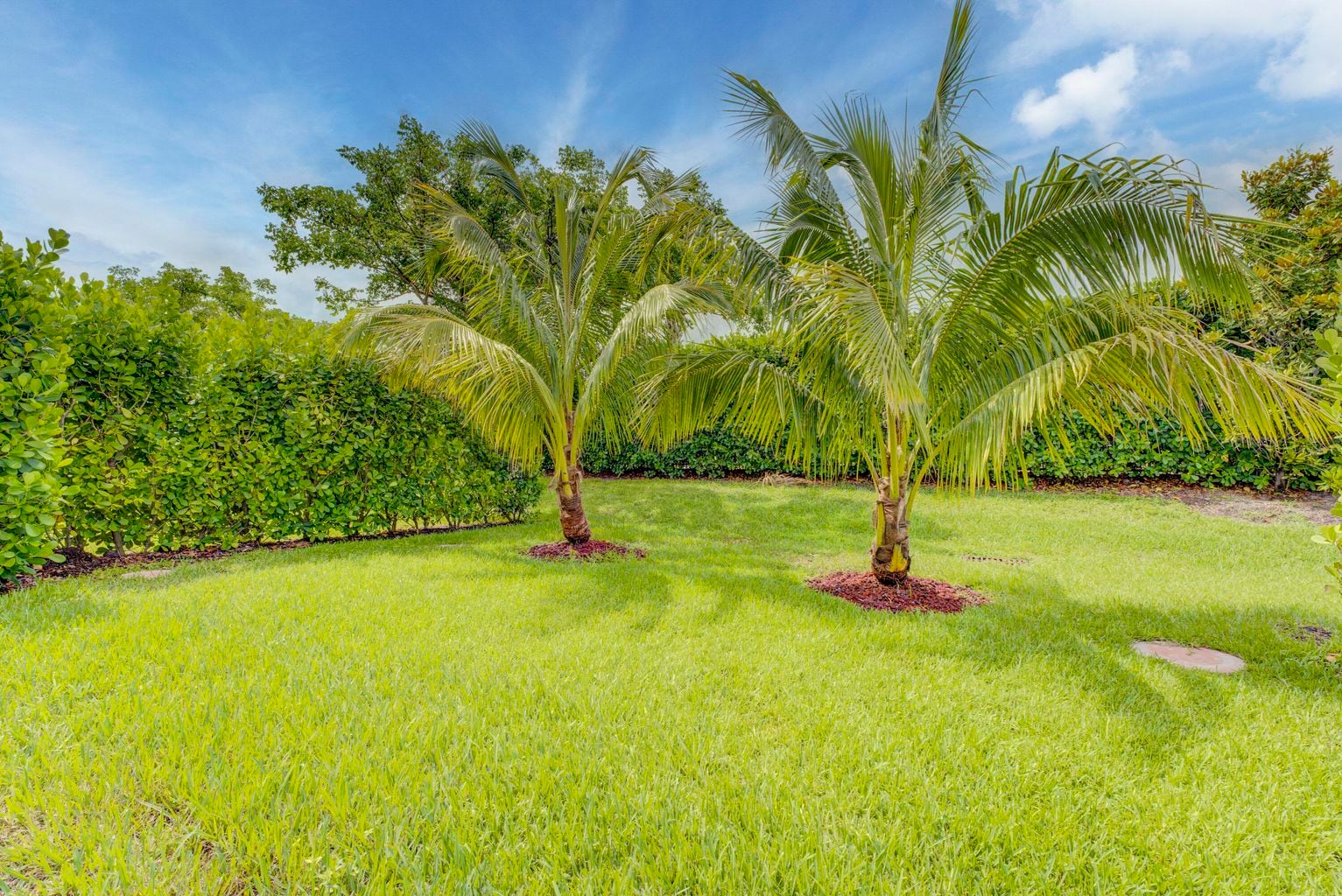 Building Photo - 9075 Kingsmoor Way