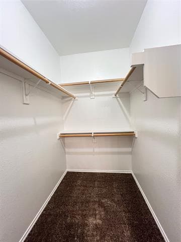 Building Photo - 2204 Stonebrook Ln