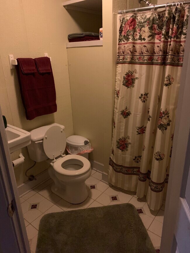Bathroom - 224 Amber Sky Dr