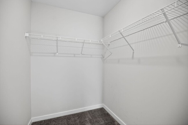 Building Photo - Beautiful 3 Bedroom, 2.5 Bath Bridgeport T...