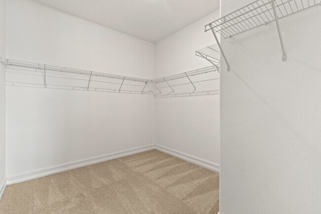 Building Photo - "Charming 3-Bedroom Rental in estancia the Center of Wesley chapel.