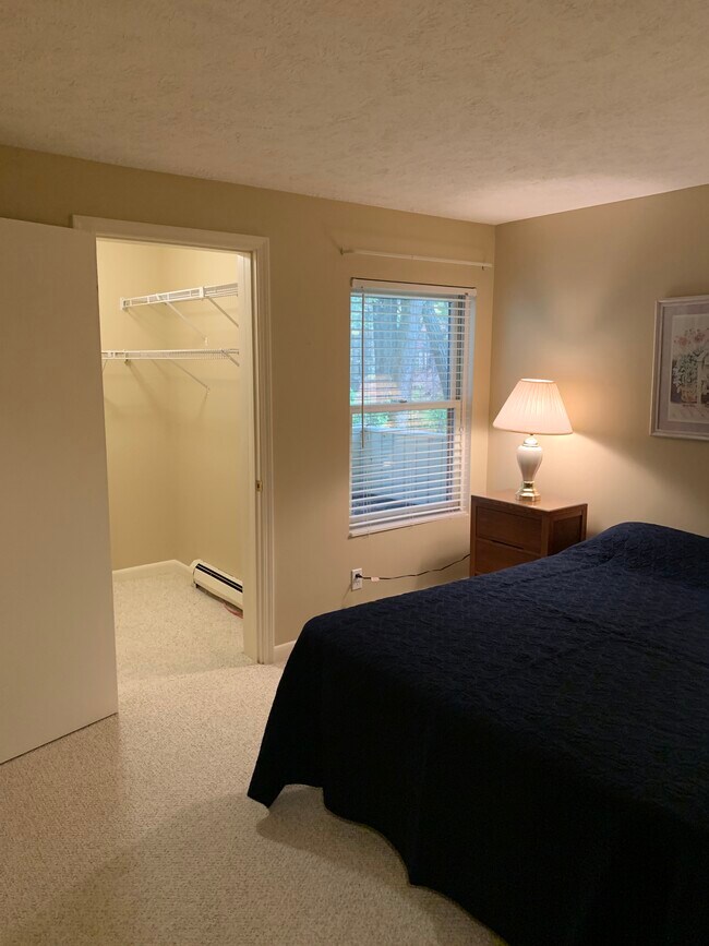 master with walk in closet - 4244 Mitchell Creek Dr