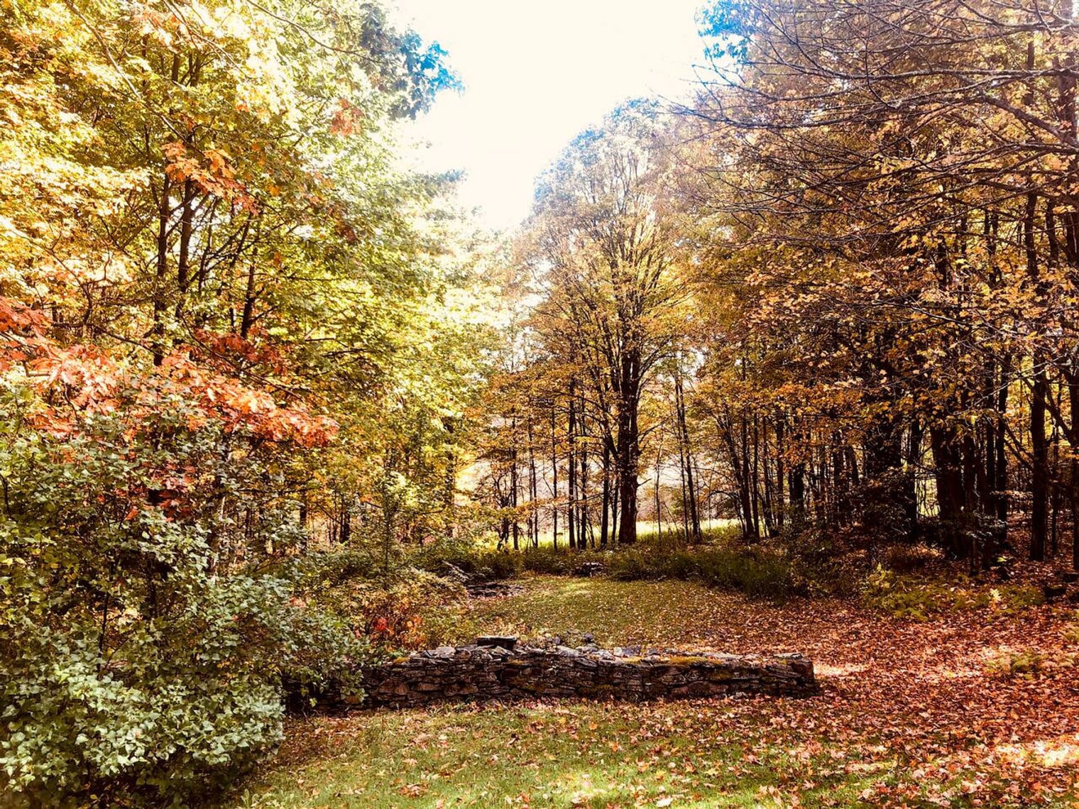 Building Photo - 93 Zych Rd