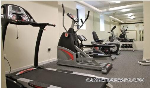 Building Photo - 60 Brattle St