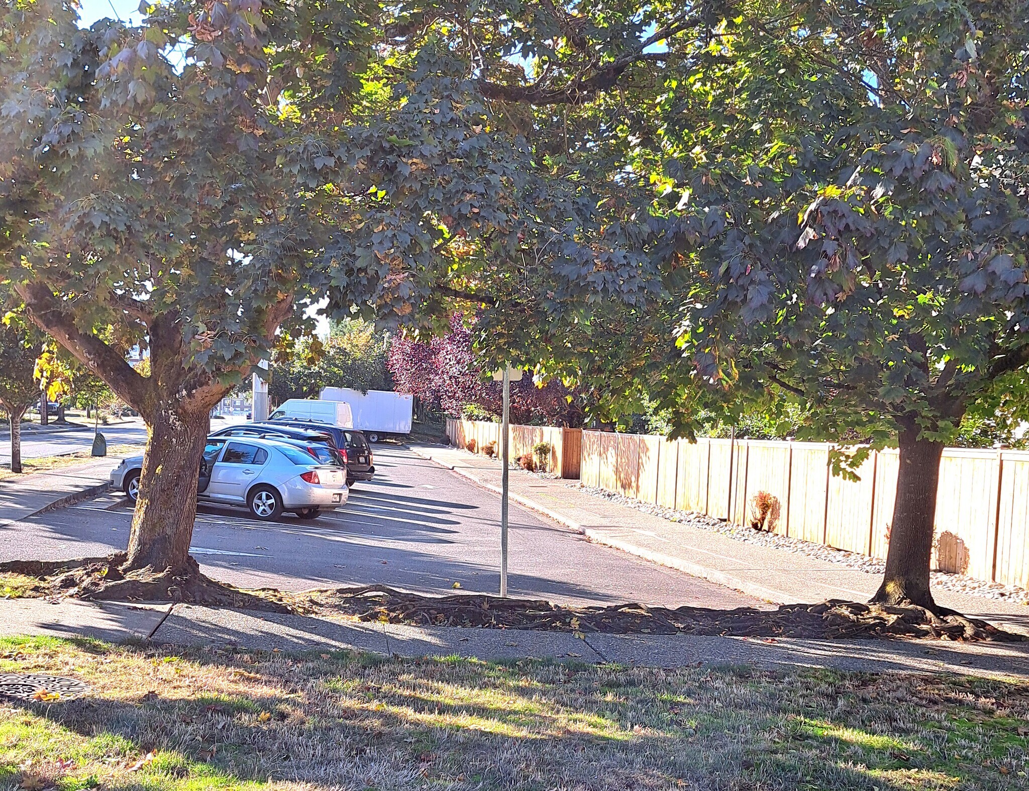 extra parking in front - 13717 Linden Ave N