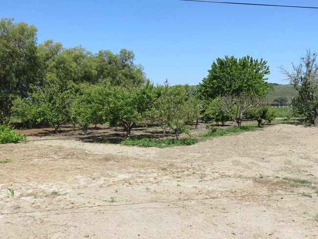Building Photo - 3bd/2ba + 1bd/1ba country living home