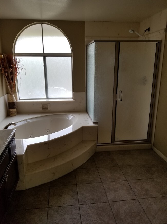 jacuzzi tub and walk in shower - 19945 Eagle Ridge Ln
