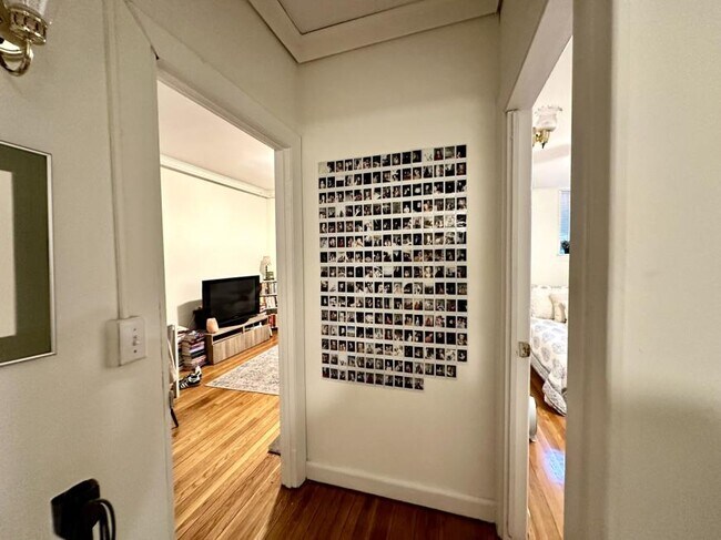 Building Photo - 1 bedroom in Boston MA 02118