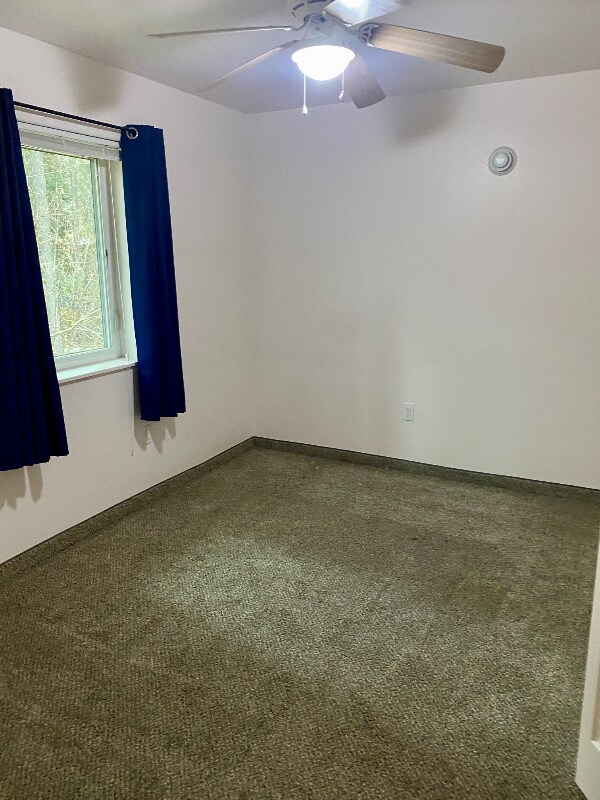 Building Photo - 305 Sarah St