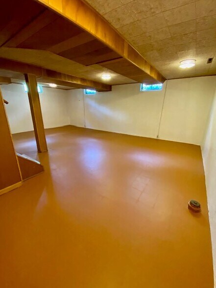 Basement - 310 Eugenia Ave