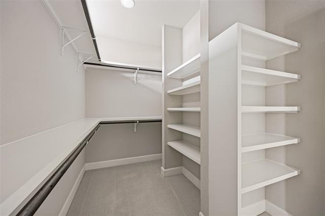 Building Photo - 7104 Amber Grv Ct