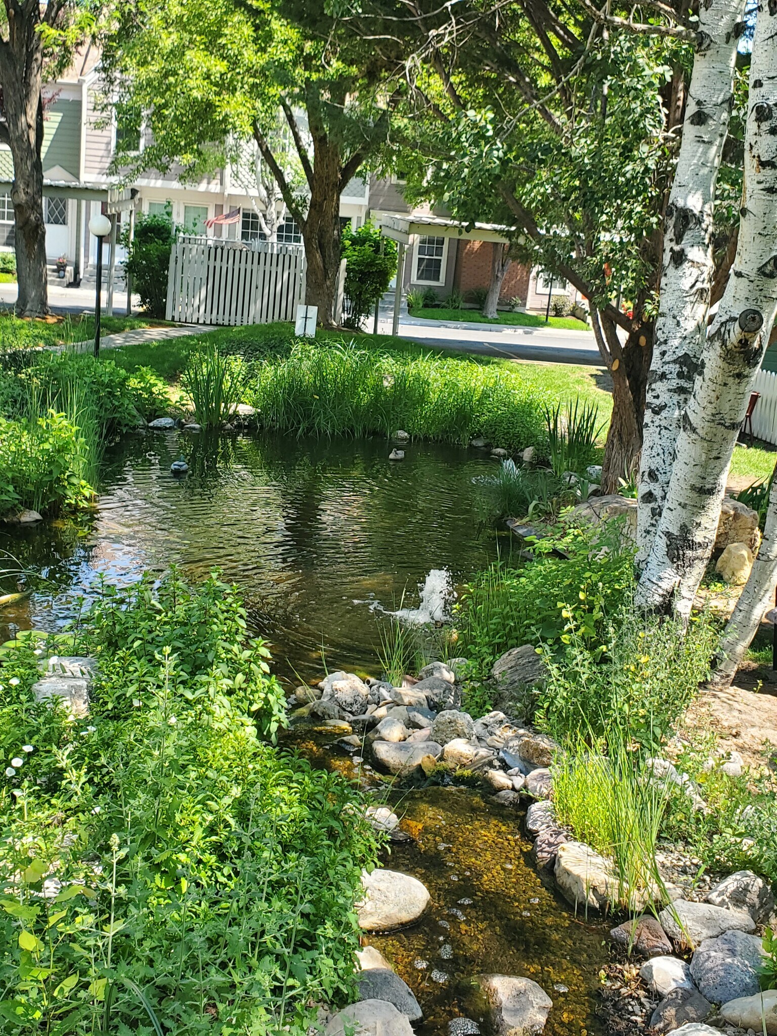 Pond with Waterfall - 1432 W Telegraph Hill Dr