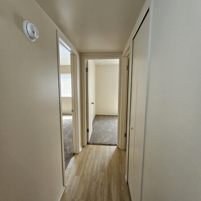 Building Photo - 3 Bedroom, 1 Bathroom Ranch with Updated Flooring, Paint, Carpet. 2 Car Garage. Kitchen with All ...