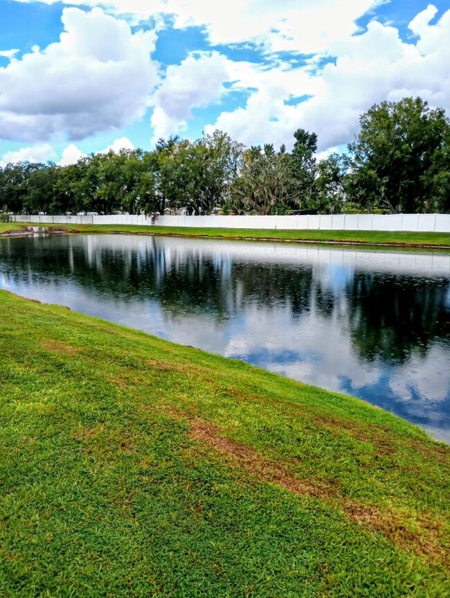 Building Photo - MOVE IN SPECIAL - Townhouse in Land O' Lakes - The Townes at Lake Thomas
