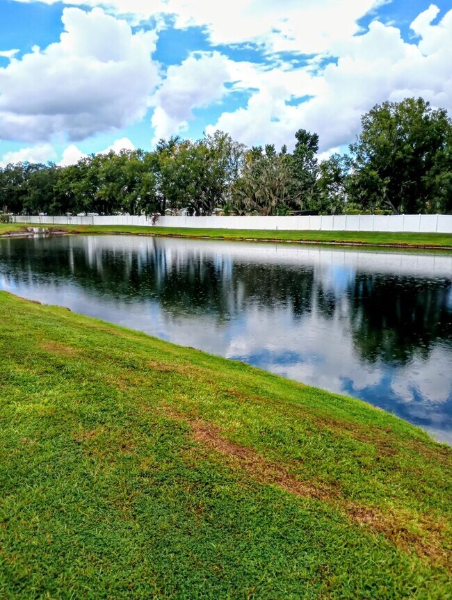 Building Photo - Townhouse in Land O' Lakes - The Townes at Lake Thomas