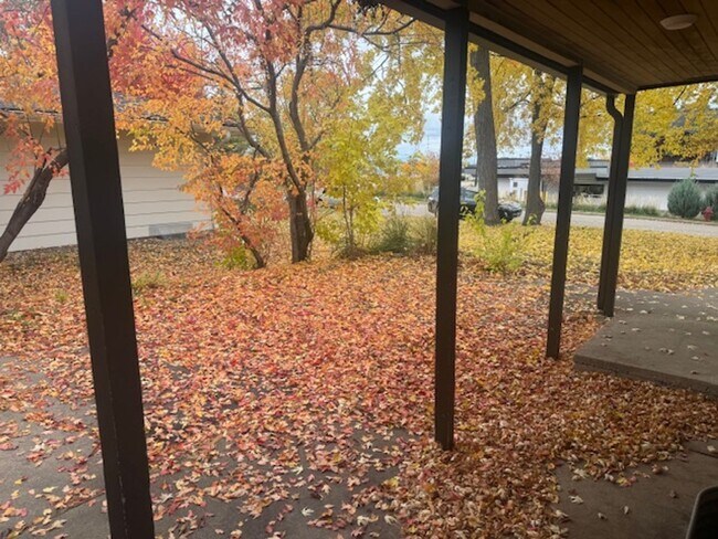 Building Photo - Updated SFH with 3 Beds, 1.5 Baths, 2 Car Garage in the Heart of Edina!