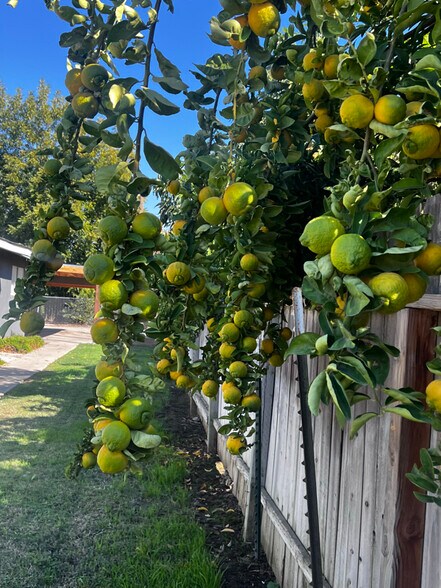 Building Photo - 445 S 2nd St