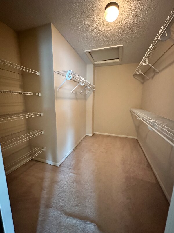 Building Photo - 813 Glenview St